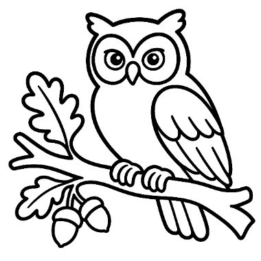 Line drawing of a wide-eyed owl sitting on a tree branch with oak leaves and acorns.