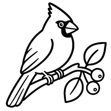 Line drawing of a cardinal bird perched on a branch with leaves and berries.