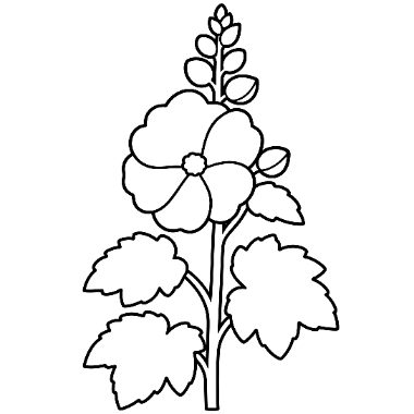 Line drawing of a hollyhock flower with buds on a stem, surrounded by large lobed leaves.