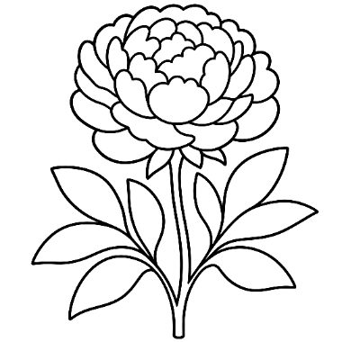 Line drawing of a large layered peony flower on a stem with symmetrical leaves on both sides.