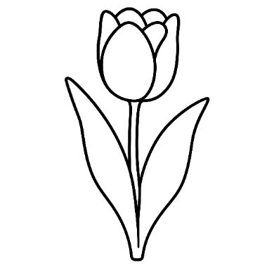 Line drawing of a tulip with a rounded petal top, one long stem, and two curved leaves at the base.