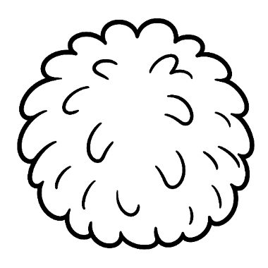 Line drawing of a round, fluffy pom-pom or puffball with scalloped edges and curved texture lines.