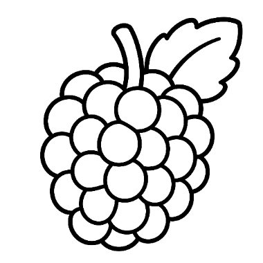 Line drawing of a cluster of round berries forming a blackberry, topped with a stem and a single leaf.