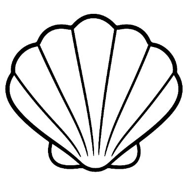 Black and white line drawing of a scalloped seashell with ridged fan-shaped sections.